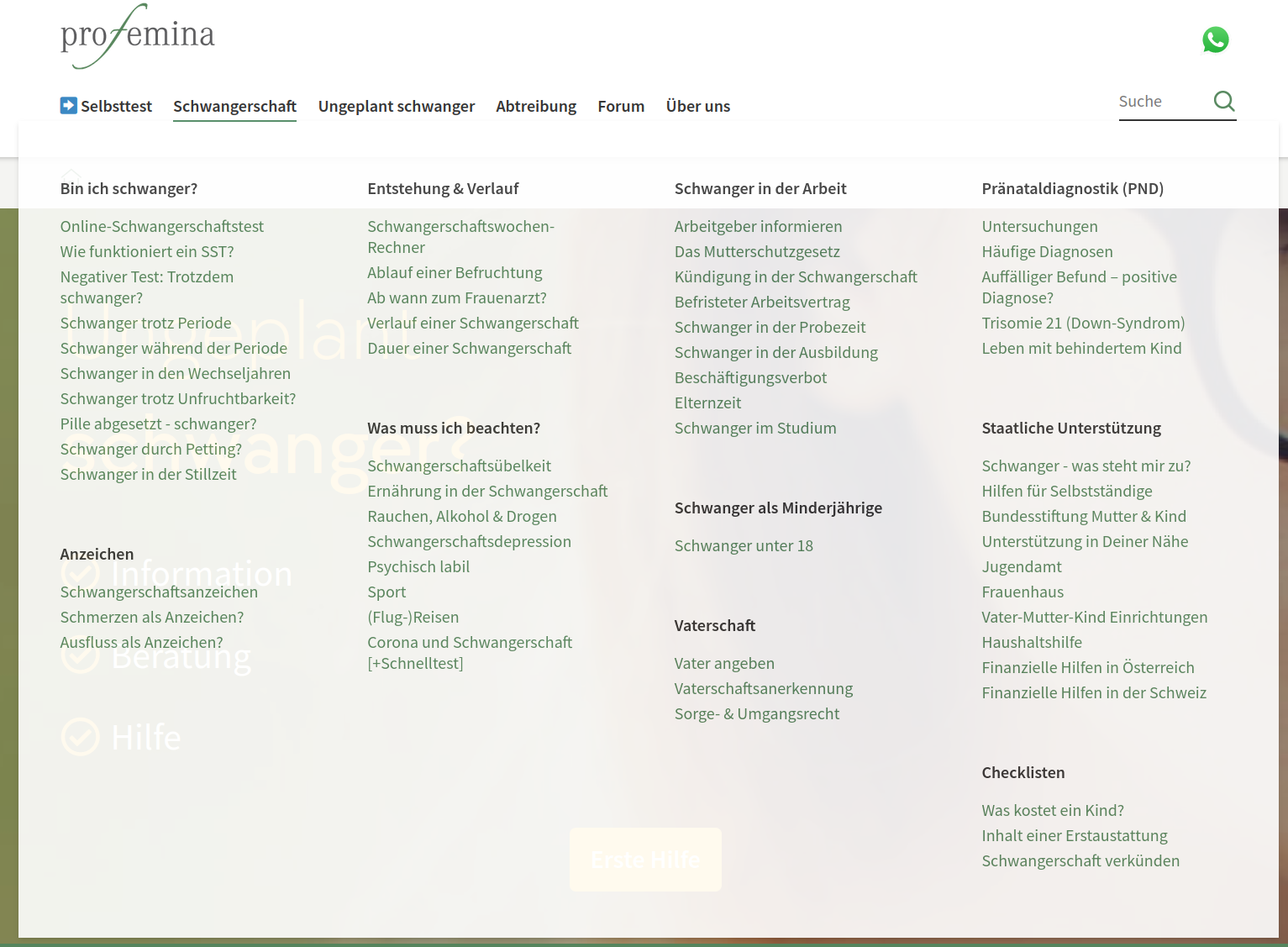 Screenshot des Hauptmenüs der Pro-Femina-Webseite, die Links zeigen zahlreiche Inhalte zum Thema Schwangerschaft und Schwangerschaftsabbruch